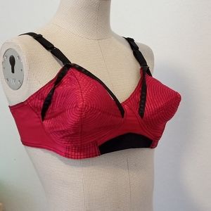 Red Satin pointy bra